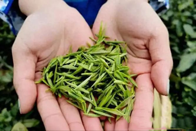 醫(yī)生研究發(fā)現(xiàn)：一旦患上糖尿病，吃飯一定要注意4點(diǎn)，別害了自己