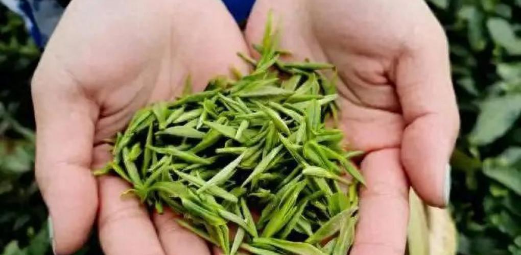 醫(yī)生研究發(fā)現(xiàn)：一旦患上糖尿病，吃飯一定要注意4點，別害了自己
