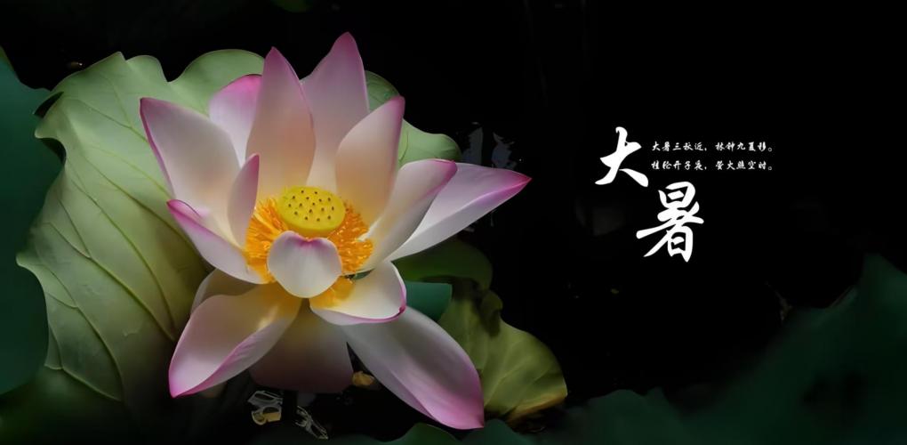 大暑至，健康指南助你安然度夏
