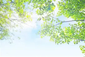 馬上“入伏”，心臟不好的老年人注意：天氣炎熱3件事最好少做