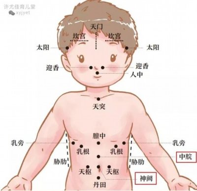 小穴位，大健康——簡易穴位按摩養(yǎng)生法