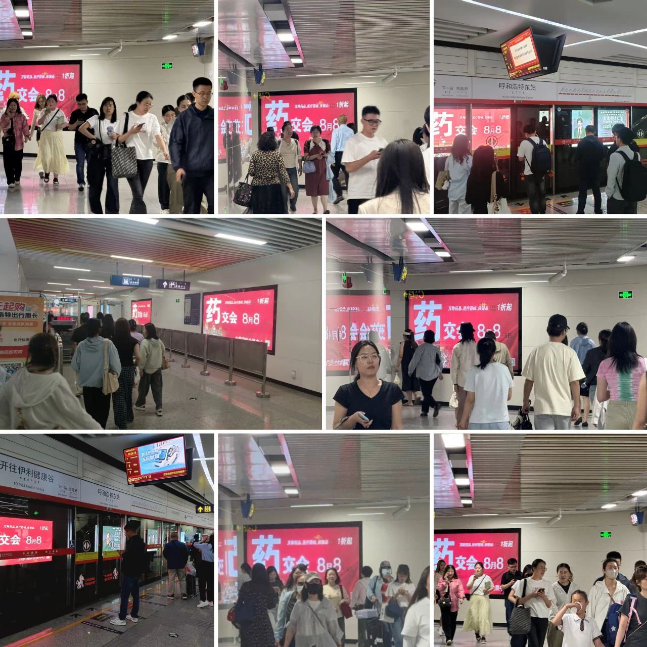 第二彈：炸了炸了 上5萬了！內(nèi)蒙藥博會(huì)這是要火
