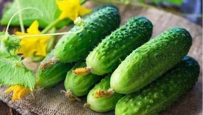 黃瓜立大功！醫(yī)生發(fā)現(xiàn)：經(jīng)常吃黃瓜的人，用不了多久，或有4變化