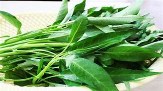 空心菜立大功？研究發(fā)現(xiàn)：吃空心菜的人，用不了多久，或有4變化